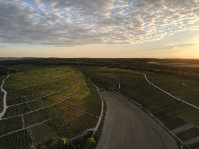 Le domaine - Champagne Christian Etienne