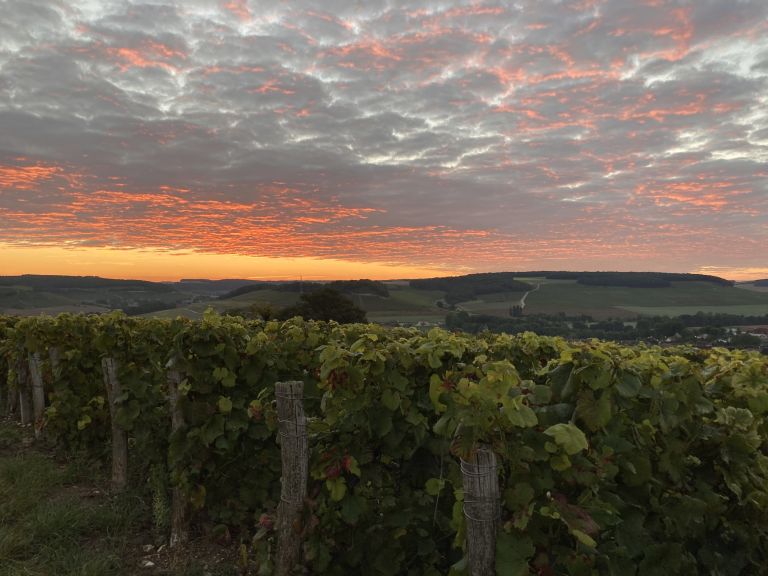 Le domaine - Champagne Christian Etienne